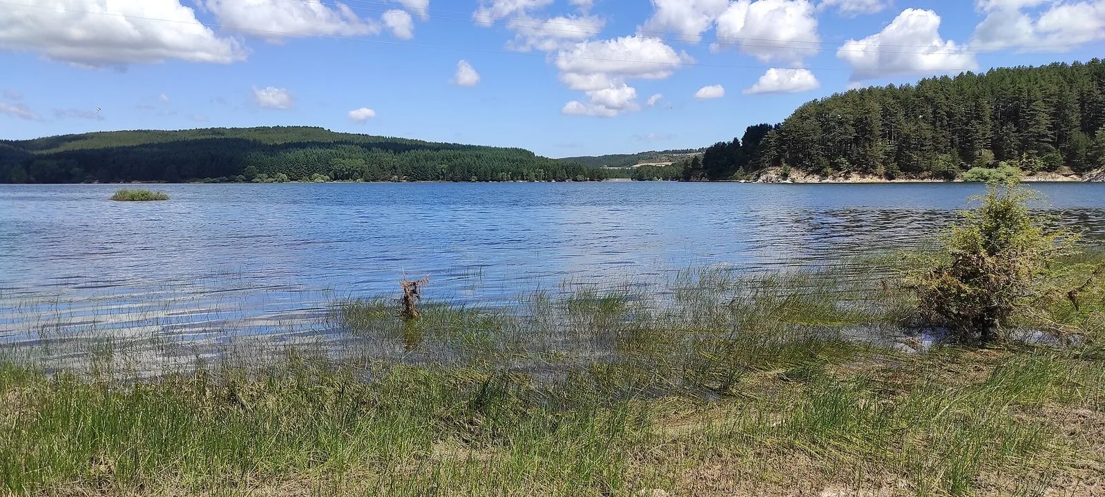 Il lago Cecita in Sila visto dalla sponda erbosa del Cupone, con i boschi di pini sulle rive e il cielo azzurro con nuvole bianche
